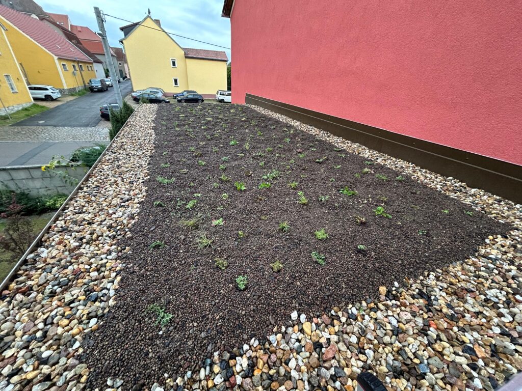Dach mit Garten
